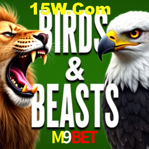 Estratégias Crash Games M9Bet